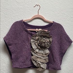 Anthropologie cropped sweater